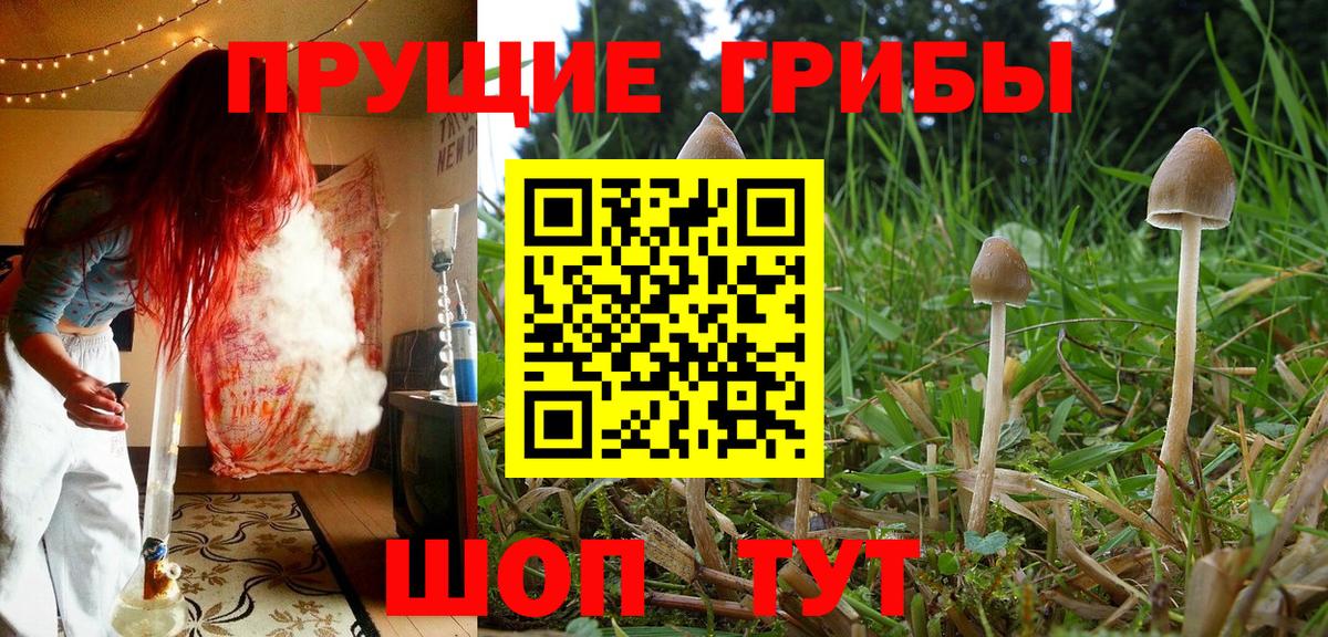 Псилоцибиновые грибы мухоморы  Псилоцибиновые грибы мухоморы  Мегион  Вход с VPN 