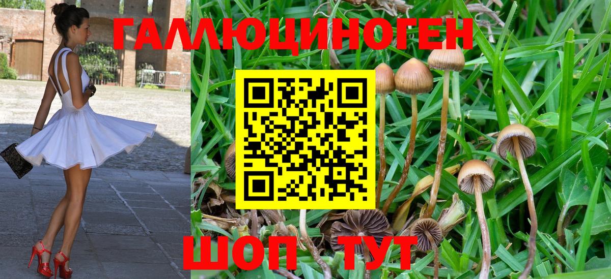 Псилоцибиновые грибы Magic Shrooms Мегион